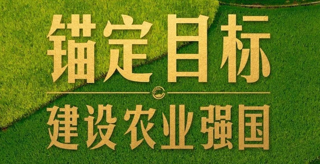 點燃現(xiàn)代農(nóng)業(yè)創(chuàng)新引擎，釋放農(nóng)業(yè)領域新質生產(chǎn)力